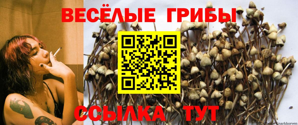 Галлюциногенные грибы мицелий Южноуральск