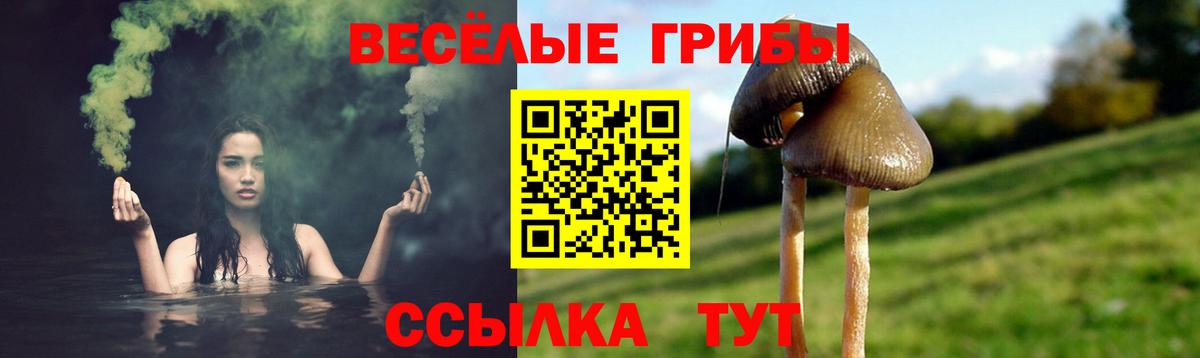 Псилоцибиновые грибы Magic Shrooms  Вход с VPN  Южноуральск 